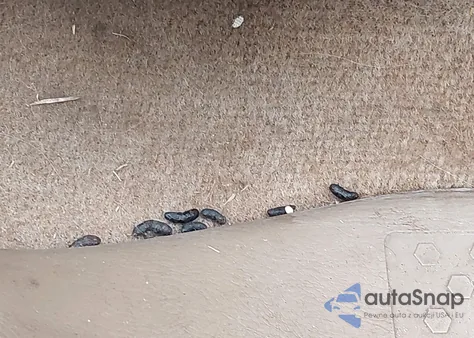 2005 Honda Pilot Ex-L z USA, uszkodzony, nr VIN 5FNYF18595B045275